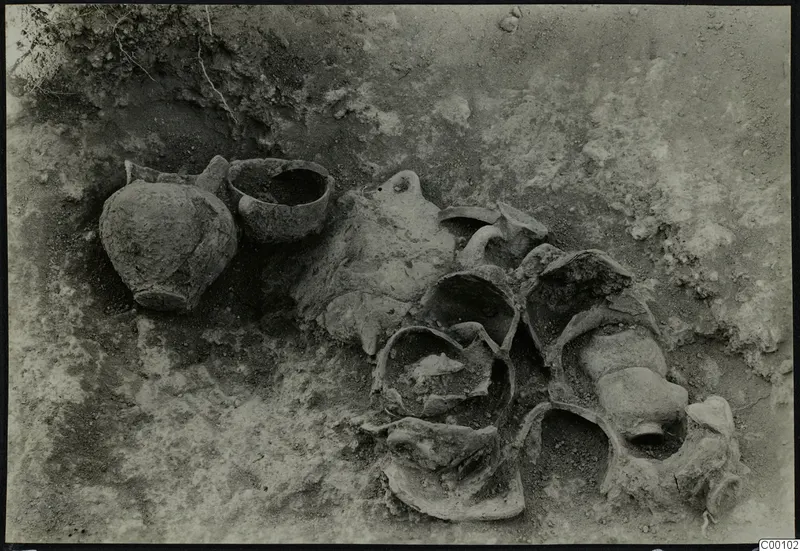 Vessels lying in soil during excavation of Tomb 404 at Lapithos Kastros