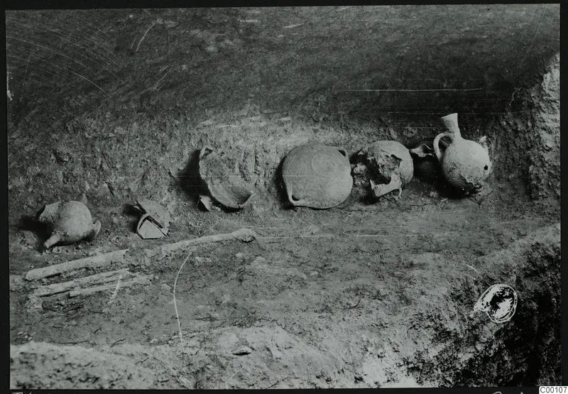 Tomb 408 at Lapithos: row of pottery vessels and long bones on the floor of a tomb chamber during excavation