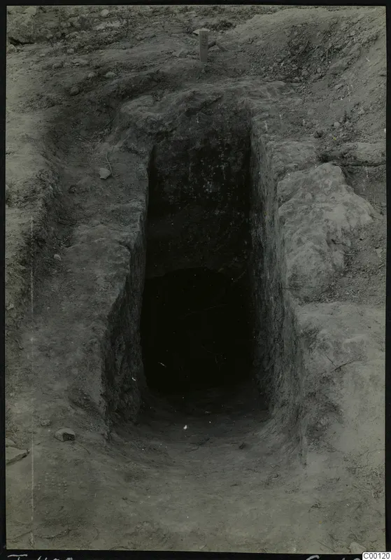 Tomb 402 at Lapithos Kastros during excavation, seen from the sloping cut leading to the dark tomb chamber entrance.