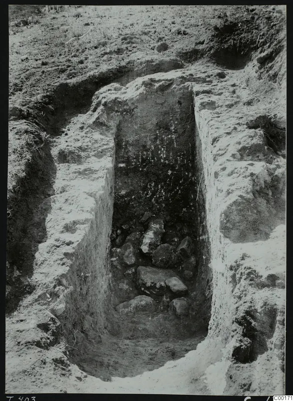 Tomb 403 at Lapithos Kastros during excavation, with stones lying in the dark fill of the tomb chamber.