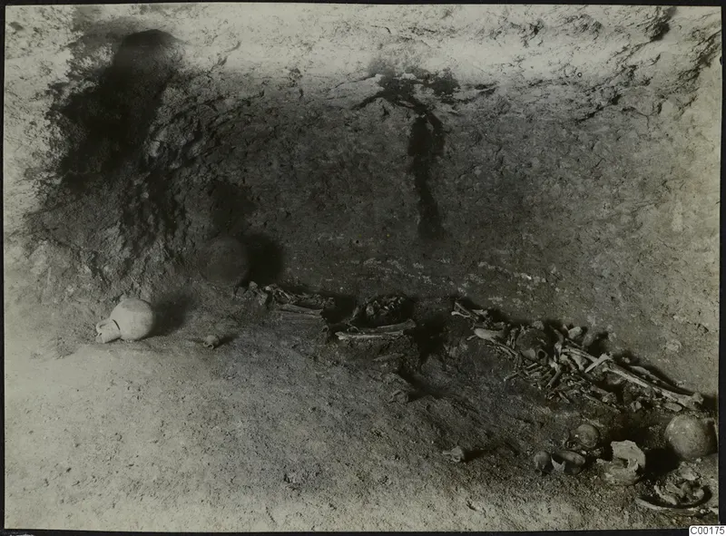 Tomb 311 at Vrysi tou Barba, Lapithos: tomb chamber with skeletal remains and a jug during excavation