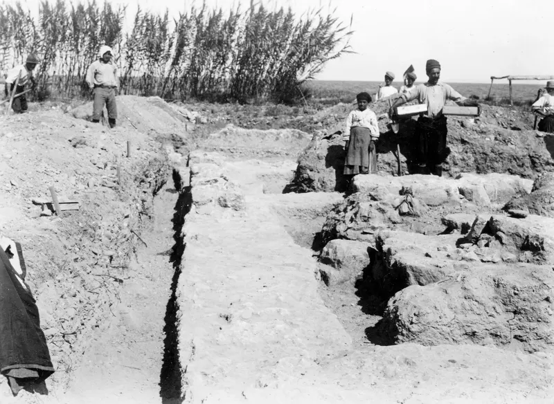 Excavated Byzantine walls at Soli, with workers standing around the trench beside a reed bed.