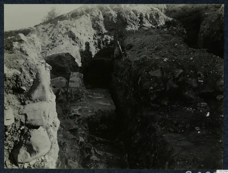 Excavation trench at Soli theatre with large stone blocks in the left wall and a tree at the top left