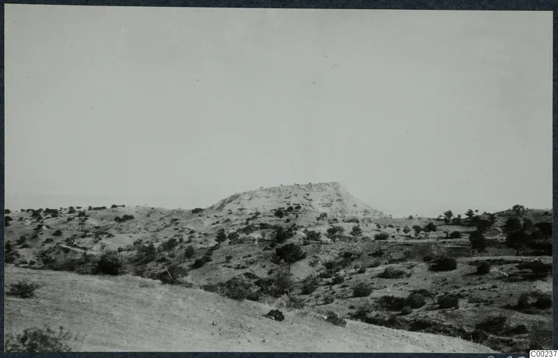 Landscape at Vouni with a flat-topped hill rising above scrub and scattered trees, with open slopes in the foreground.