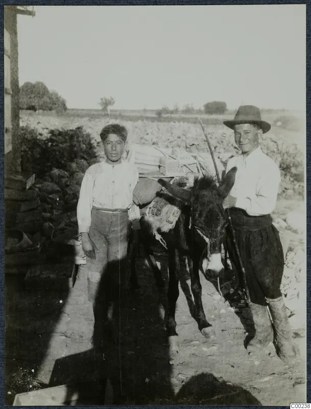 Two young men with a packed donkey, standing in front of a cultivated field