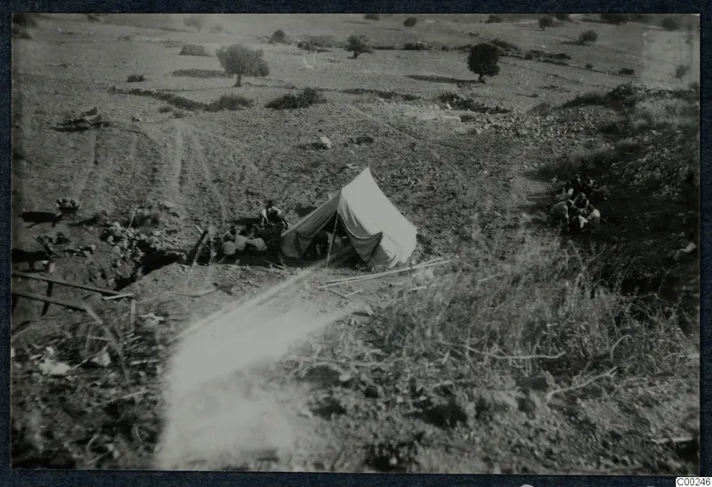 Sloping hillside at Soli with a white tent and people seated near it, with scattered trees