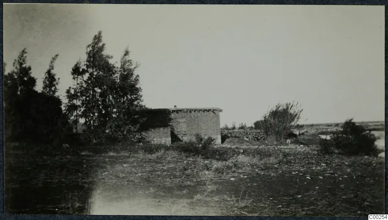 Low flat-roofed building with a shuttered window among tall trees and scrub on open stony ground