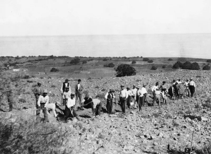 Workers with tools digging a stony slope at Soli, with the sea and low scrub beyond.