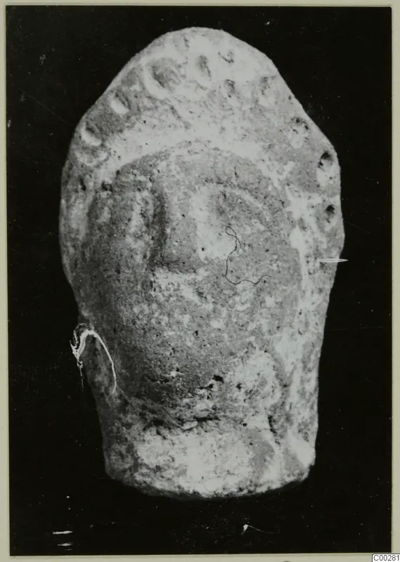 Terracotta head from Soli, shown frontally against a dark background.