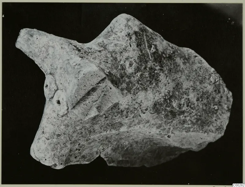 Fragment of a terracotta minor plastic animal figurine from Soli, shown against a black background.