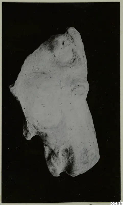 Fragment of a terracotta figurine, possibly an animal, shown against a black background
