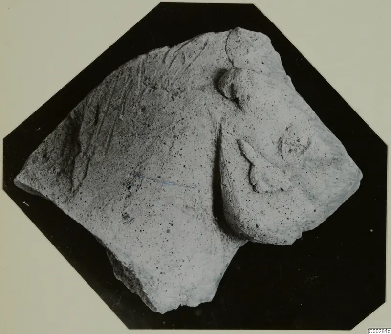 Broken terracotta fragment of a small animal figurine with raised modelled details, photographed on black.