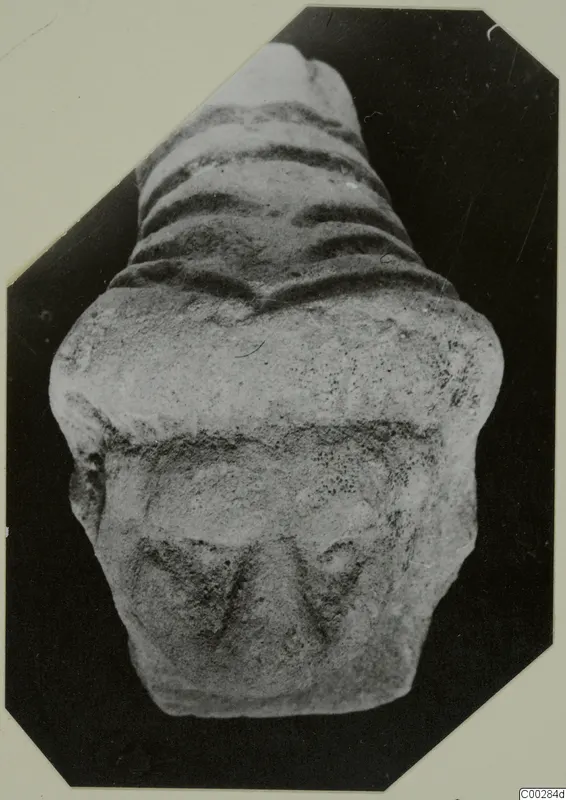 Mounted photograph of a pale, rough-surfaced find with ribbed upper part and relief-decorated lower block