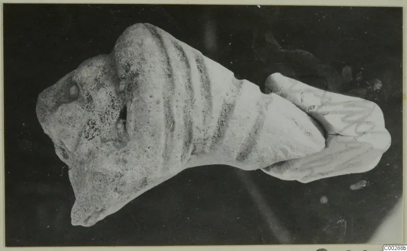 Terracotta fragment of a small figure with ridged body and a broken, snout-like end, on a dark background