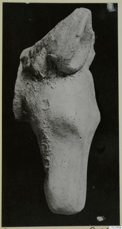 Fragment of a terracotta minor plastic animal figurine from Soli, photographed alone on a dark background