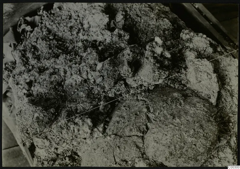 Close view of soil-encrusted objects in Tomb 322 b at Lapithos, with a taut wire stretched diagonally across them