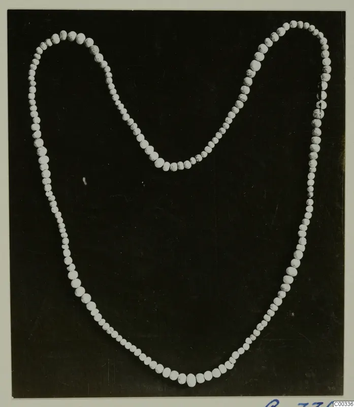 Necklace of small pale beads, graduated in size, laid out in a loop on a dark background.