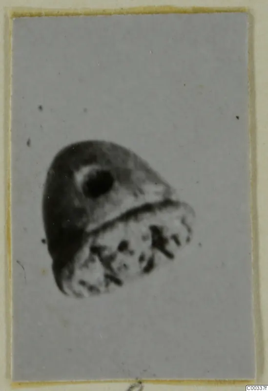 Blurred photograph of a small glyptic object from Tomb 403 at Lapithos, mounted on a card