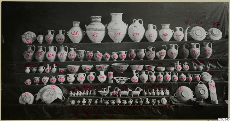 Rows of pottery vessels from Lapithos Tomb 403 displayed on tiered shelves, with red numbers painted on many pieces