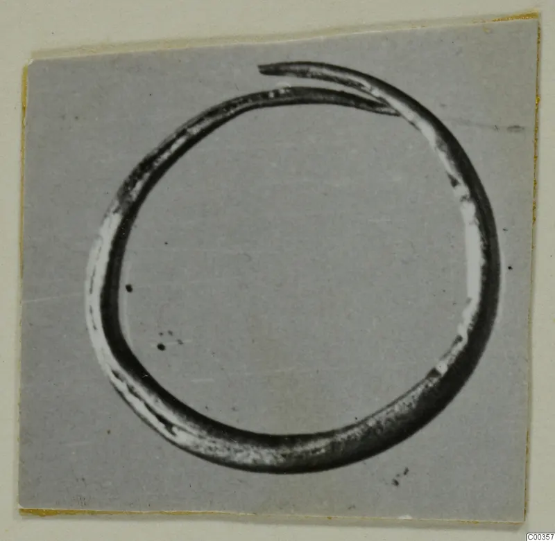 Gold ring from Lapithos, a thin open hoop with one end overlapping the other, photographed on a grey card mount