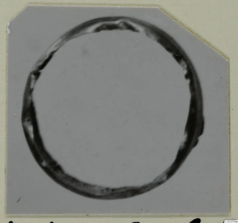 Gold ring from the Kastros tombs at Lapithos, seen from above on a grey card mount
