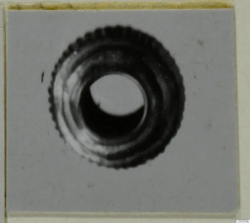 Ridged ring-shaped gold jewellery, probably from Tomb 420 at Lapithos