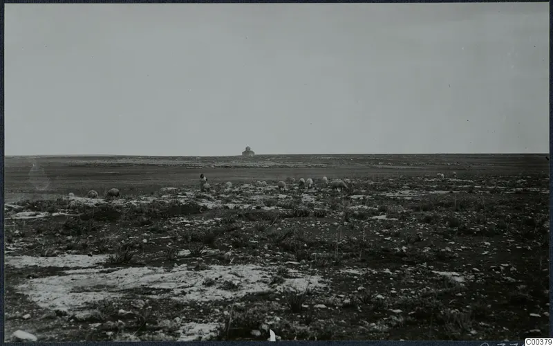 Open stony plain at Milia with sheep grazing and a small building on the distant horizon