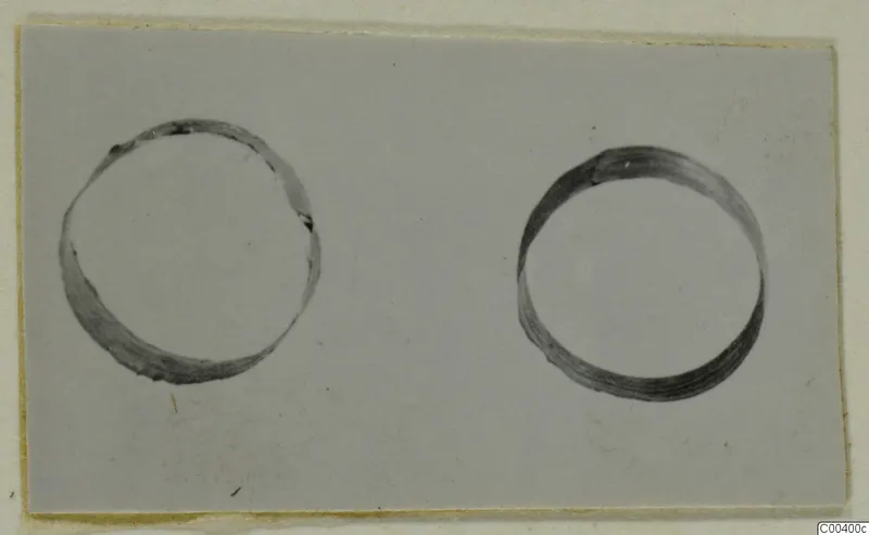 Two gold rings lying side by side on a pale card, from the Kastros tombs at Lapithos