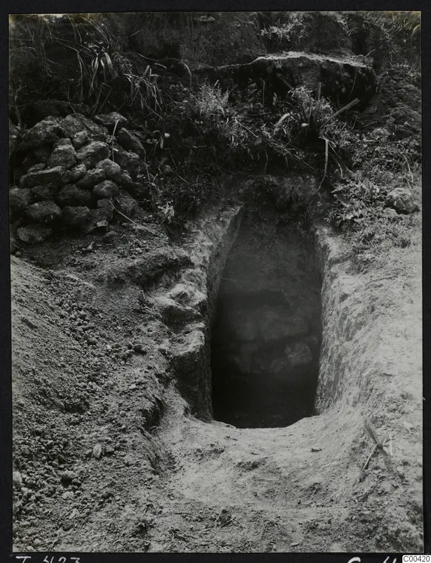 Tomb 423 at Lapithos during excavation, showing the dark chamber opening at the end of a cut in the ground