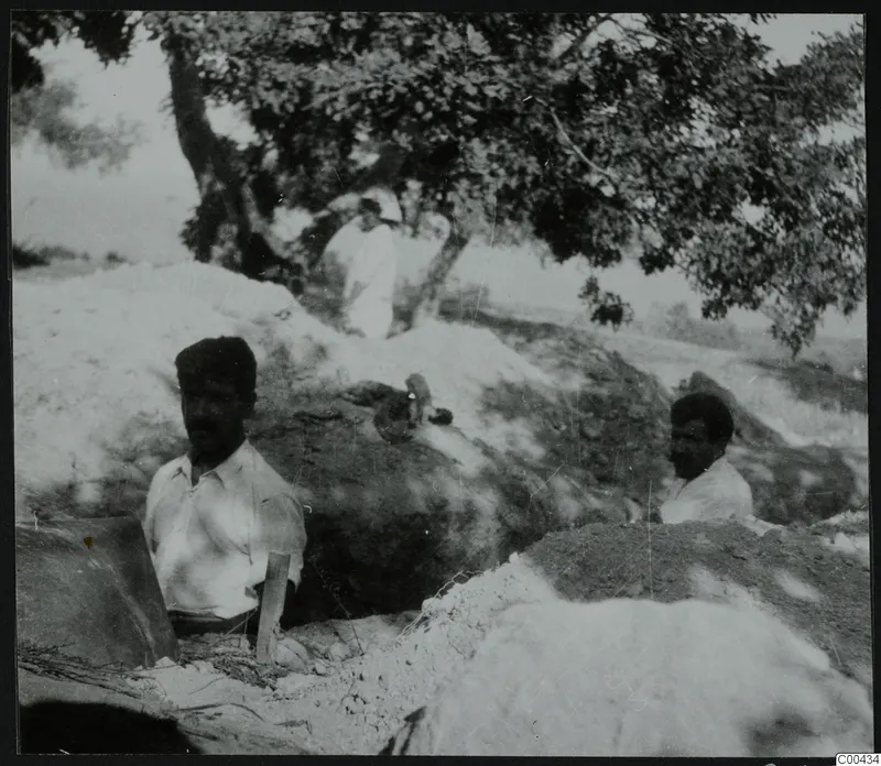 Excavation at Lapithos with two men in trenches and a third man standing beneath a large tree