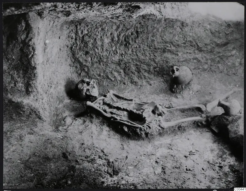 Tomb 422 at Lapithos Kastros: skeleton lying in the tomb chamber during excavation