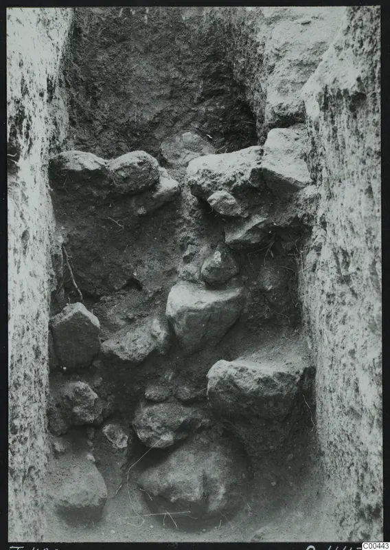 Tomb 420 at Lapithos Kastros during excavation, with stones filling the tomb chamber.