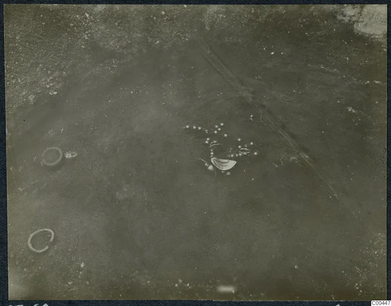 Tomb 60 at Marion during excavation, showing small beads, a pale shell-like object and two rings in the soil
