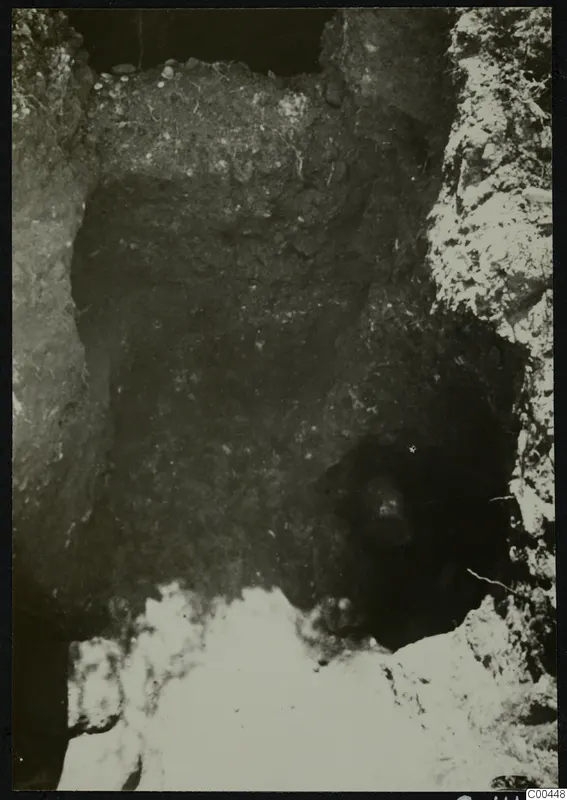 Tomb 9 at Marion during excavation, a dark cut in the soil with roots and stones visible