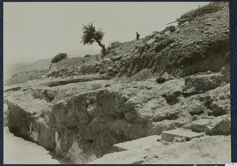 Excavated hillside at Vouni with stone walls, a lone tree and one standing person on the slope