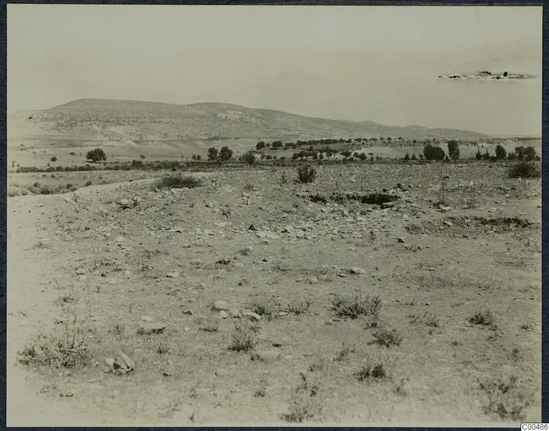 Overview of the excavated ground at Marion, with stony soil in the foreground and hills and scattered trees beyond