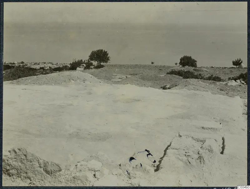 Excavated pale limestone ground at Vouni with scrubby trees on the slope and the sea beyond