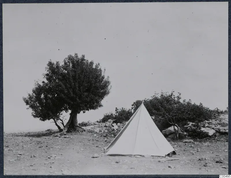 Vouni Palace area with a large tree, a white tent and stony ground