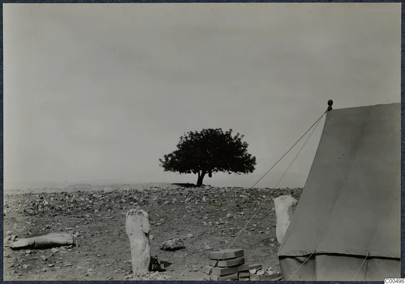 Rocky open ground at Vouni with a lone tree, a canvas tent on the right and scattered stones and objects