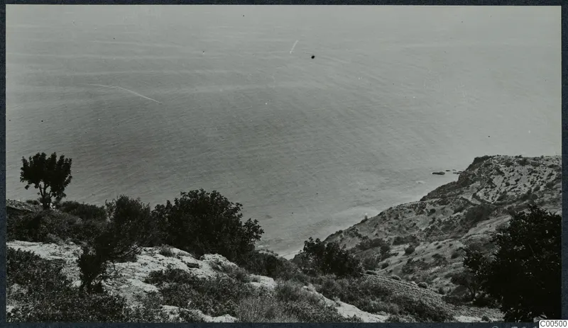 Coastal view from a hillside over the sea, with scrubby bushes in the foreground and a rocky headland on the right.