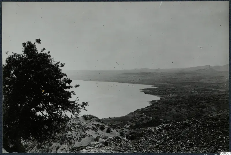 View over a curving bay from high ground at Vouni, with a large tree on the left and hills in the distance.