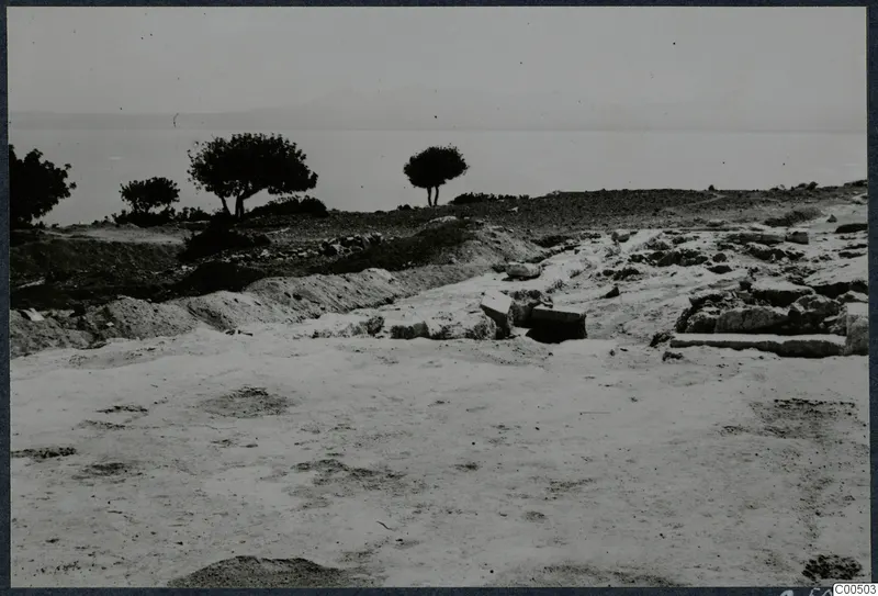 Excavated ground with stone block ruins at Vouni, with the sea, low hills and trees beyond