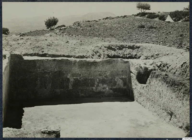 Excavation at Vouni palace, with a cleared stone wall face, a trench floor and shrubs on the hillside