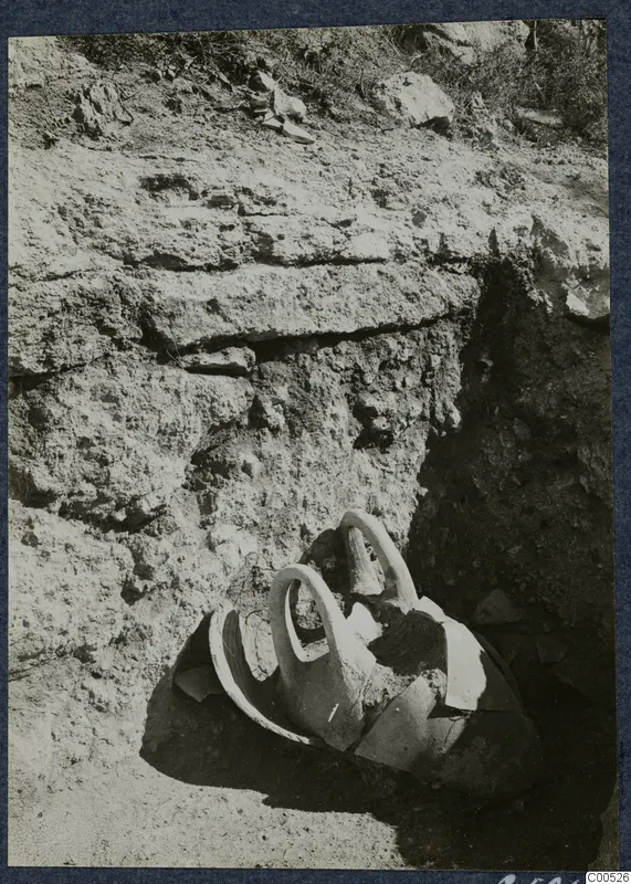 Broken two-handled vessel lying in excavated ground at Vouni Palace, with a layered earth face behind it