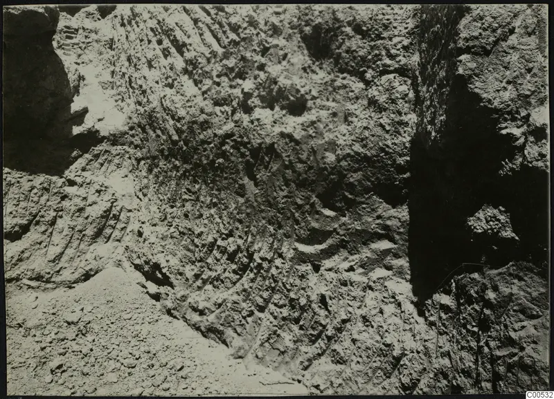 Excavation face at Plakes, Lapithos, with stones visible in the cut soil.