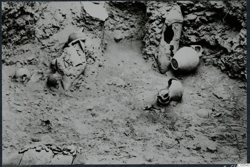 Pottery vessels and stones lying in excavated soil at Vouni