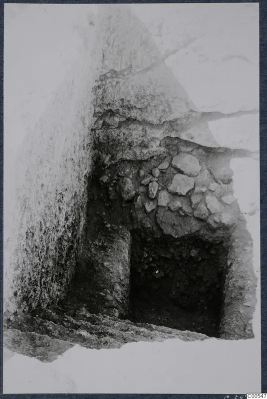 Excavation cutting at Vouni with a rubble stone wall and a dark stepped opening in the earth