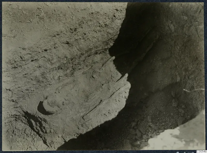 Skeleton lying in the dromos of Tomb 15 at Vouni