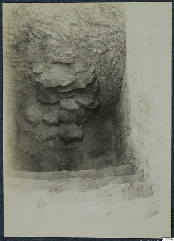 Excavation trench at Vouni with a stacked stone wall and shallow steps in the foreground
