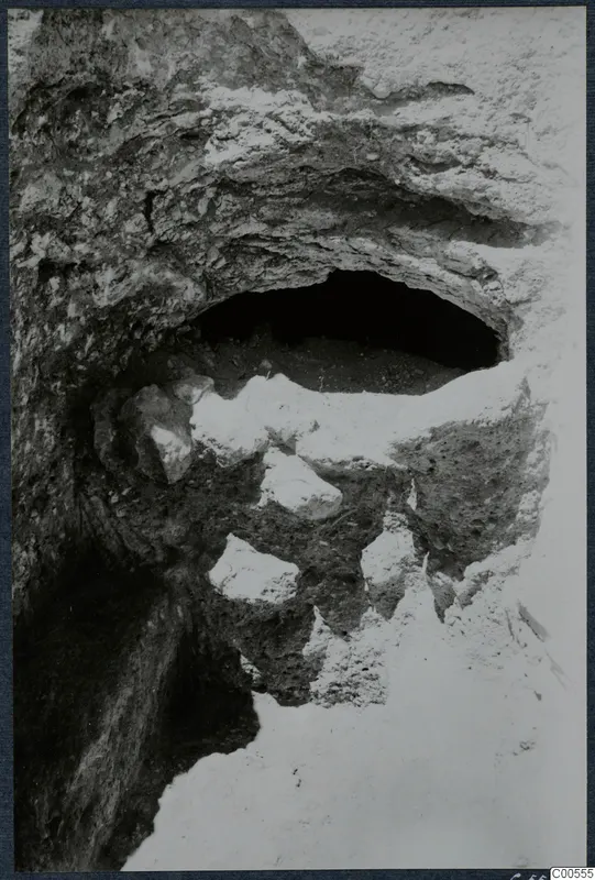 Excavated arched opening in a rough cut face at Vouni, with pale stones lying on a soil ledge